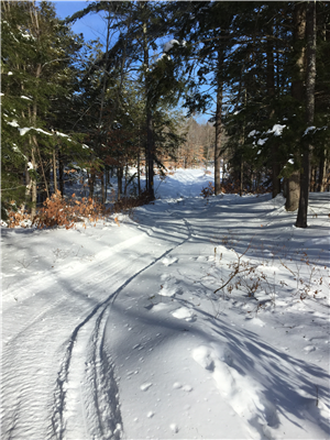 Snowy Trail in Lowell Preserve